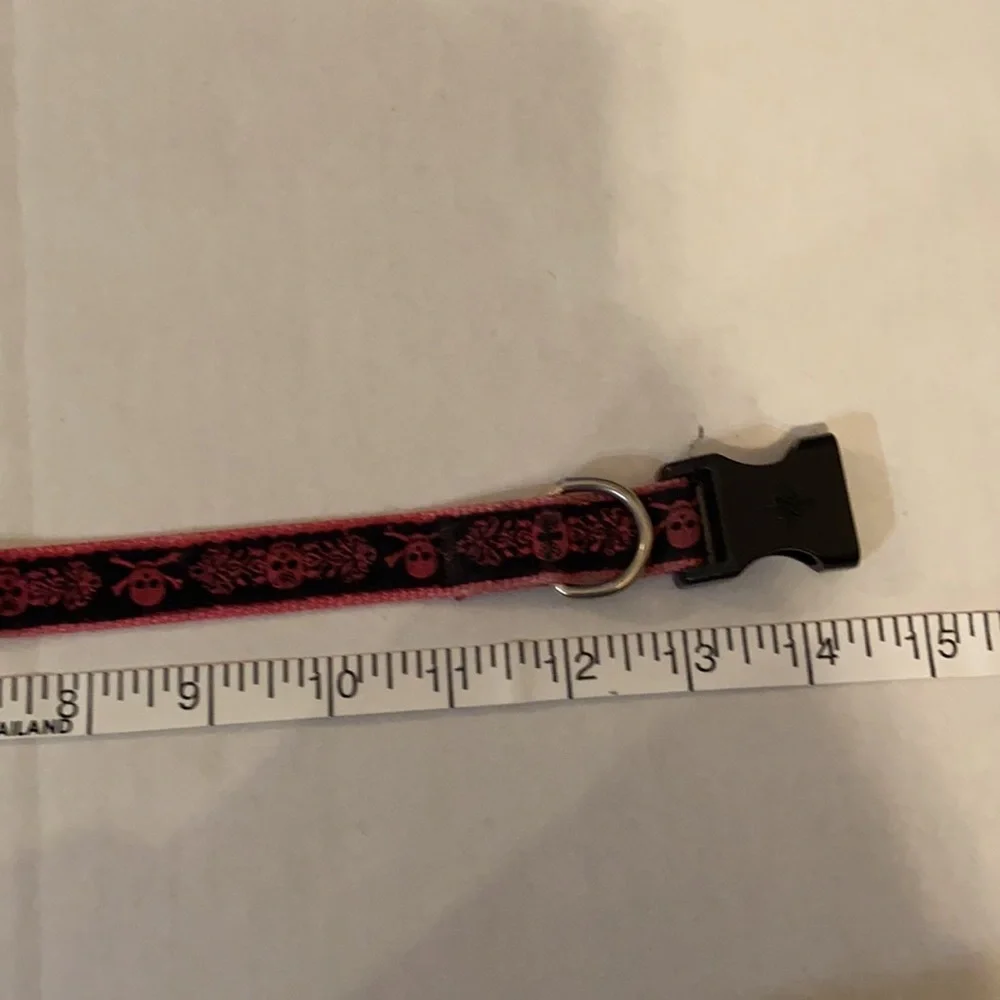 Dog Collar and Small Tie-Out